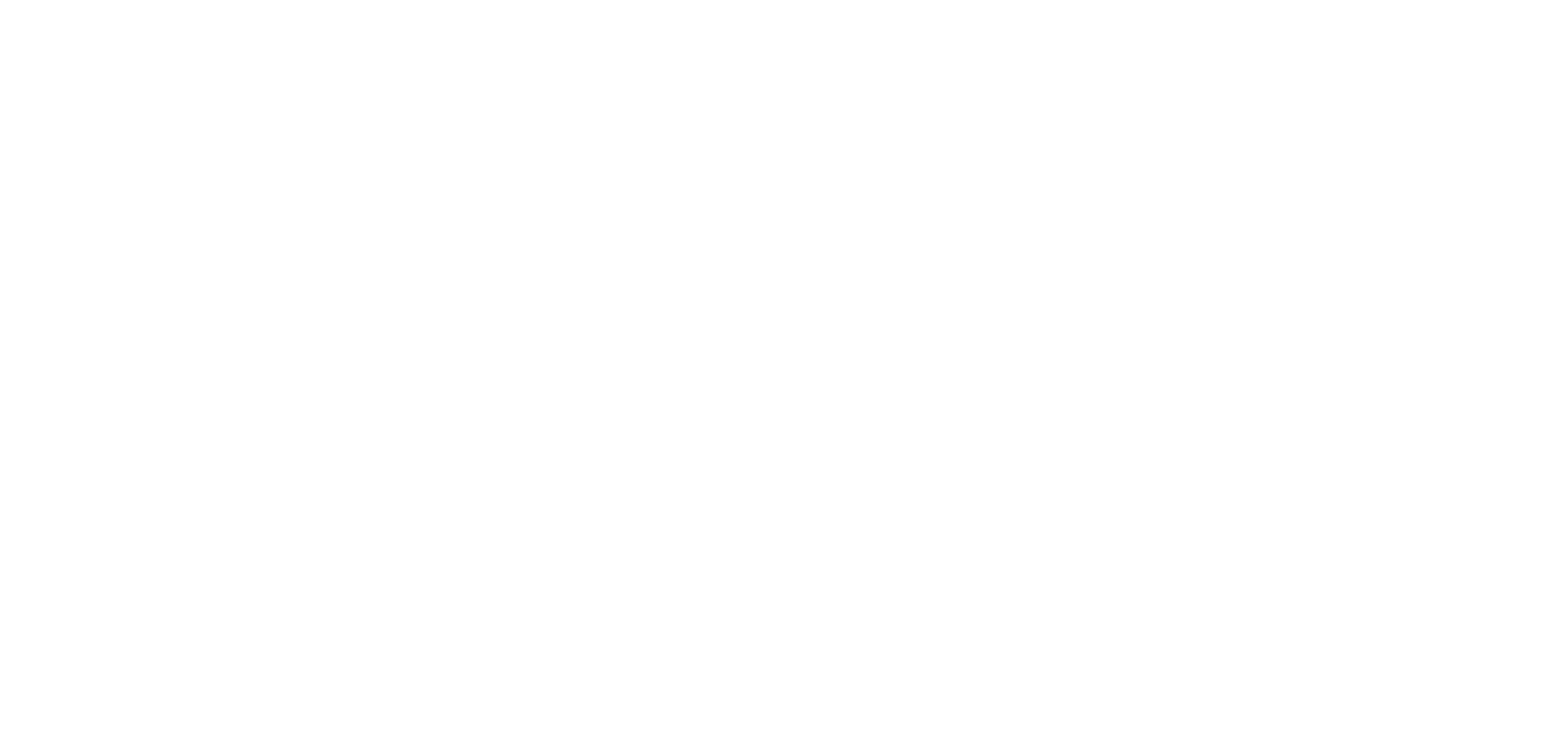 Mandarin Homes Logo